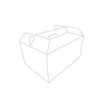 Tragebox aus Karton, dicht, Small, 205 x 285 x 145 mm